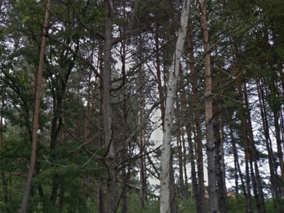 Земельна ділянка вул. Джерельна Ужгород