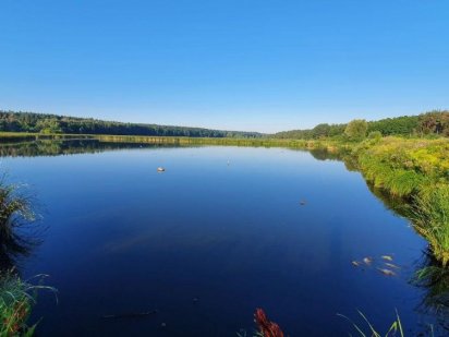 Участок 9 соток в Киеве Академ Новобеличи Киев