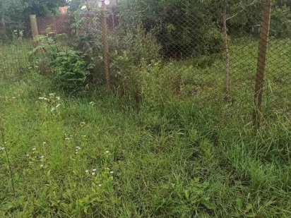 Продаж земельної ділянки Старе місто