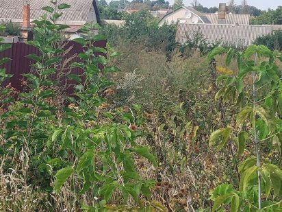 Продам участок .Виннницкие Хутора.Улица Сагайдачного. Винница