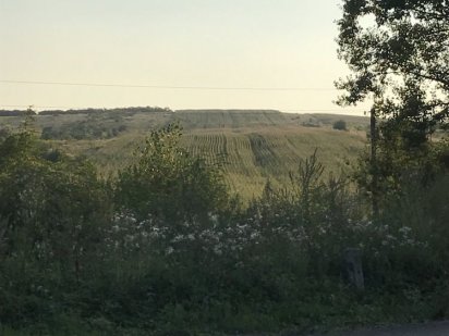 Продається земельна ділянка біля дороги