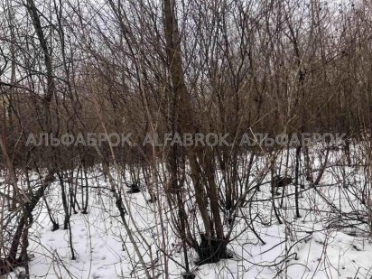 10 соток земельна ділянка в Києві Киев