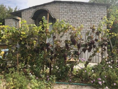 Продам дачу Правый берег п.Солнечный