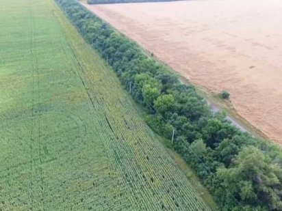 Продаж участків  ОСГ Київ