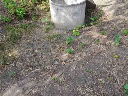 земельна ділянка 10 соток на Завадовці