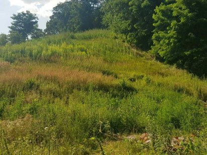 Ділянка 16,9 соток, парк Феофанія 12 хвилин пішки, Теремки 10 хвилин Киев