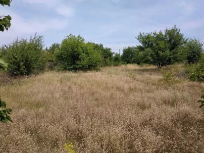 Земельный участок за Лесопарковой (с.т. Аграрник) Кропивницький