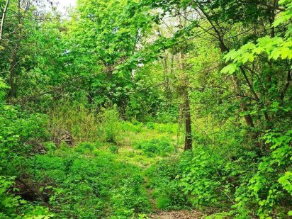 Продам земельну ділянку 10 соток Київ, Шевченківський р-.н Киев