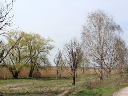 ПРОДАМ УЧАСТОК возле озера по ул.Белградская Дніпро