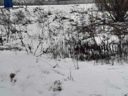 Продаж земельної ділянки