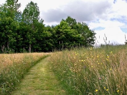 Ділянка під будівництво на Олексіївці Кропивницький