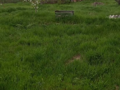 Дачный участок (дача) Кропивницкий