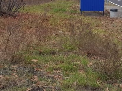 Продажа земли 2 Га Козин Конча-Заспа Старообуховская трасса Киев