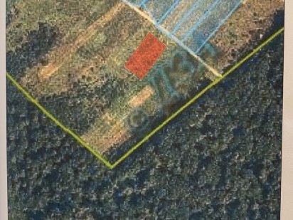 Земельна ділянка 12 сот.