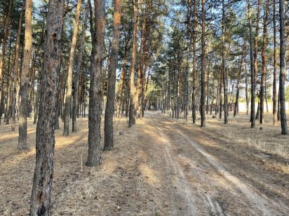 Продам ділянку біля лісу у Воскресенську Миколаїв