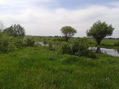 10 соток под дом, Троещина, пер. Луговой Київ