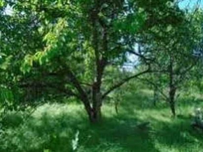 Продам свой  участок СМТ «Таирова» кооператив «Виноградар» Одеса