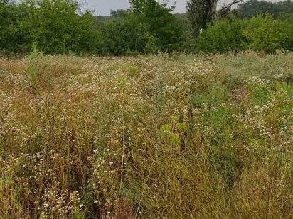 Продам участок пос.Братское Дніпро