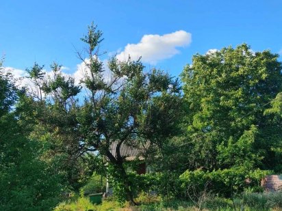 Участок в 2 км от метро Осокорки Київ