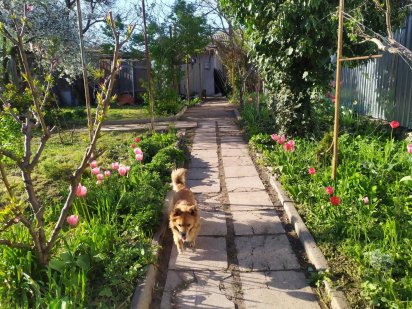 Предлагаю 9 соток в Черноморке Одесса