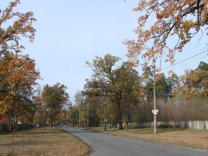 Продам участок  в Пуще-Водице 10 соток под строительство Киев