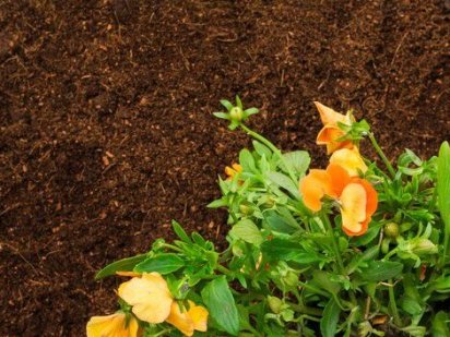 Земля 15 соток Бориспольский р-н