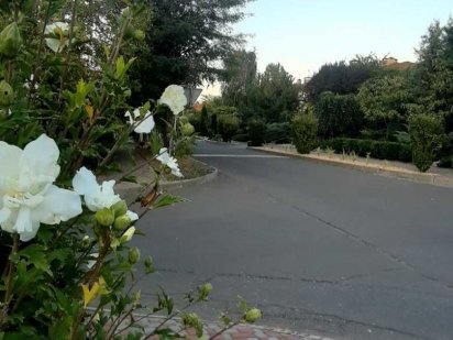 Продам участок в Совиньоне. Одесса