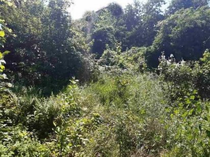 1/21. Срочно продам участок под строительство дома на улице Долгая Одесса