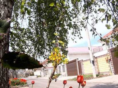 Продам участок в Червоном хуторе. Одесса