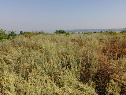 Учасок с госактом. Возле "Шестого элемента"