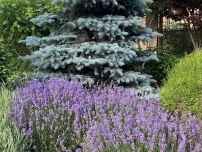 Продам 6,4 сотки правильной формы!