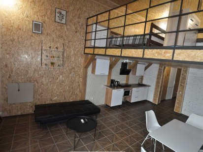 Сучасні 2-рівневі апартаменти в Старому місті Кам'янець-Подільський