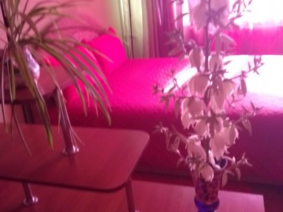 Подобово Квартира Ромны