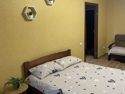 Затишна квартира з КОНДИЦІОНЕРОМ, подобова оренда Шептицький