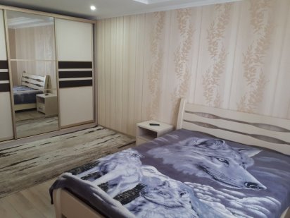 Люкс 2х уровневая, Центр, посуточно Кропивницкий