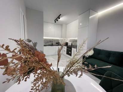 Подобова оренда апартаментів Пасічна/Зелена/Вікінг/IQ PARK Львов