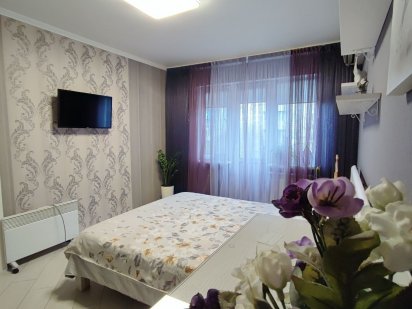 1-кімнатна, Липківського 3, 5 хв залізничний вокзал, від власника Київ