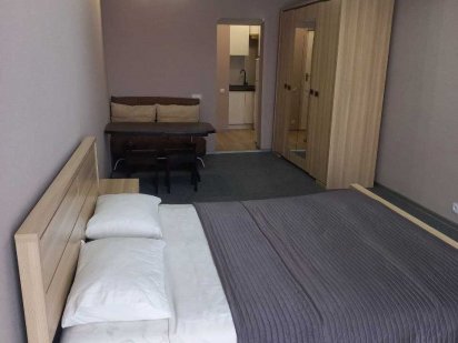 Однокімнатна квартира на площі Ринок Львов