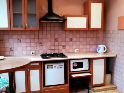 Затишна квартира - студіо, Франківський район Львов