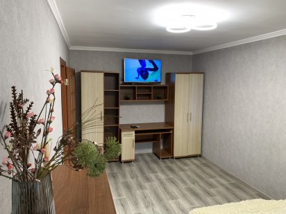 Здається подобово 1-кімнатна квартира в центрі міста Бердичів