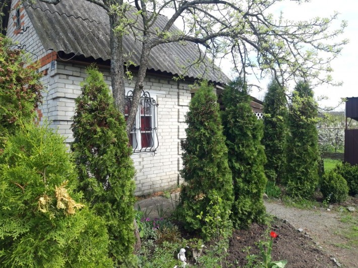 Дача на Барановке  "Садівництво Озерне" - фото 1