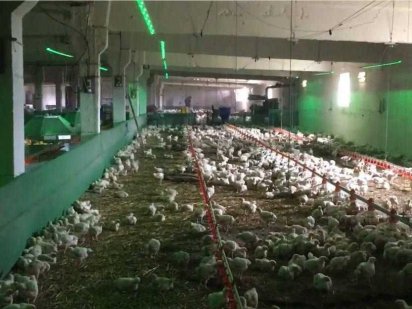 Продаж фермерського господарства Кривий Ріг