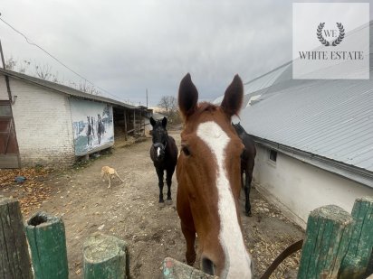 Продаж комплекс споруд Тернопіль