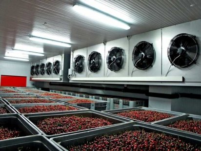 Фабрика з переробки, заморозки та реалізації ягід, фруктів, овочей Житомир