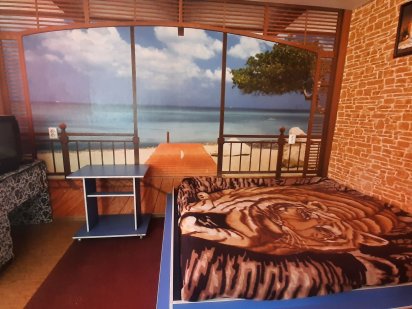 1-2 кімн. кварт. Центр. Р-н авто-ж.д. вокзалів. Година. Доба. Варіанти