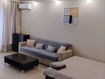 Уютная полногабаритная 1-ком квартира Харьков, центр, м. Научная Харьков