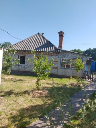 Продам дом на Ревовке в Светловодске. - фото 1