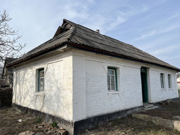 Приватний будинок с. Сушківка - фото 1