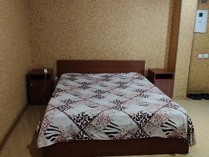 Посуточно почасово апартаменты в Кременчуге в центре города