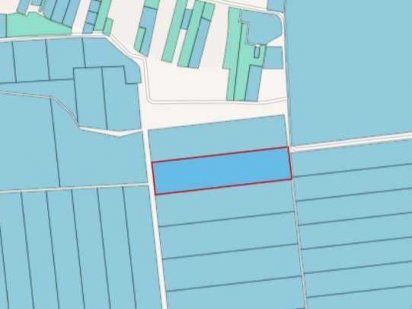 Пай 4.51 га Олександрійський район Александрия